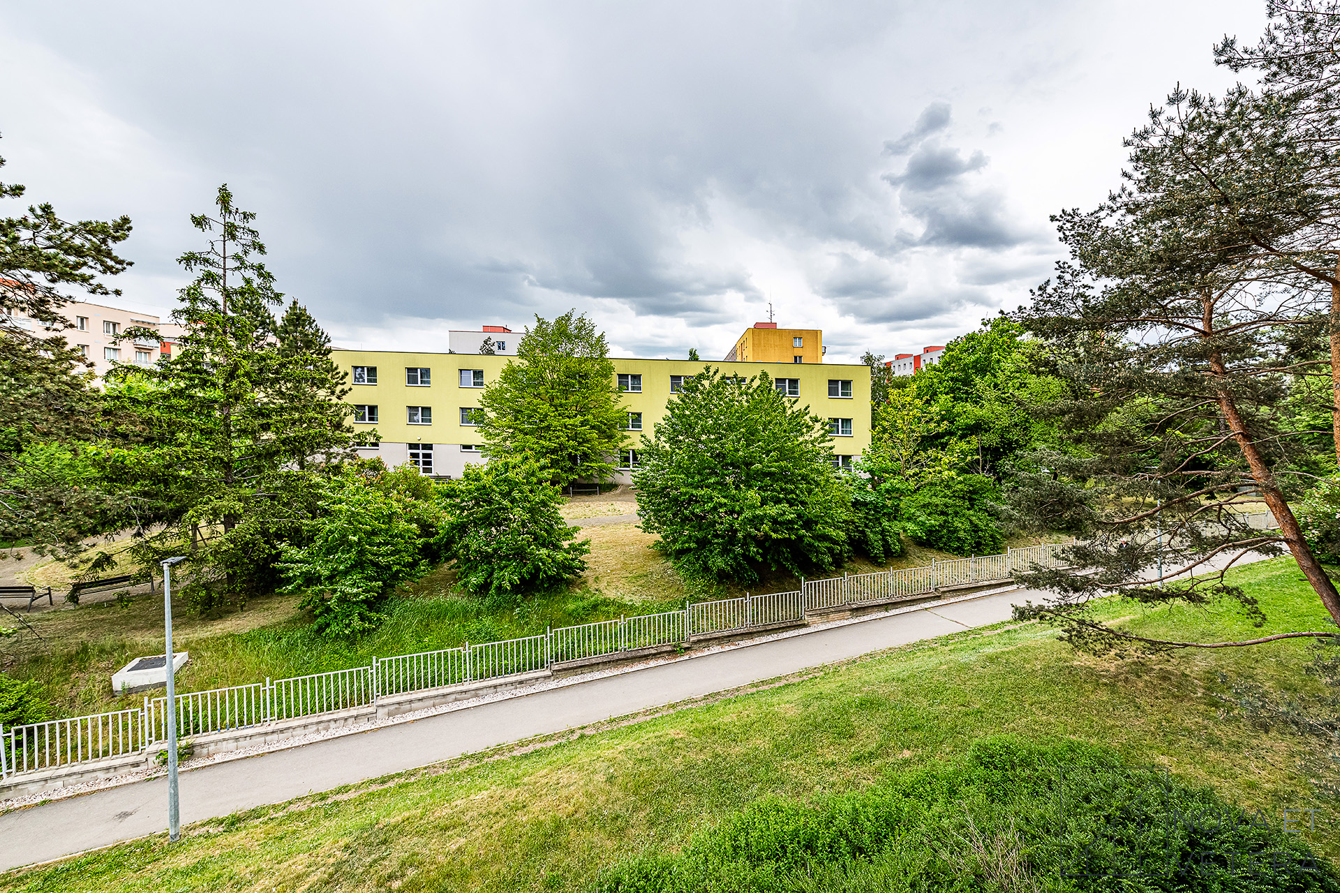 Bělčická